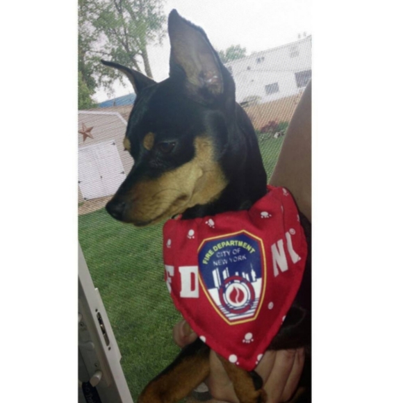 Meet your Posher, Heidi - Picture 9 of 10